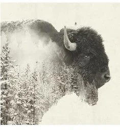 Majestic Buffalo (Beverage Napkin)